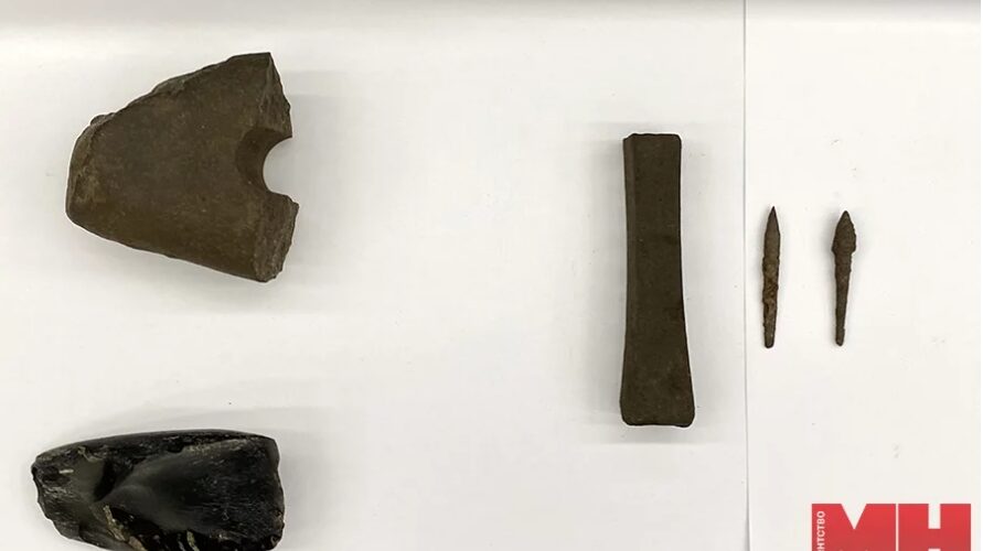 Археологи обнаружили одно из самых древних жилых поселений в Беларуси